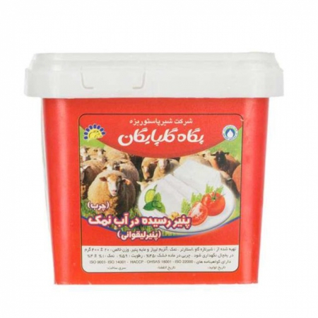 پنیر پر چرب پاستوریزه رسیده در آب نمک لیقوان پگاه 400 گ